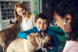 ¿Con qué frecuencia debo llevar a mi perro al veterinario?  – Perro