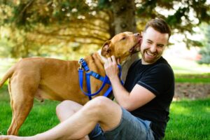 Una guía sobre cómo entrenar a un pitbull y por qué es importante – Dogster