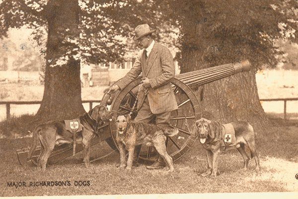 Los perros especialmente entrenados de Col.  Edwin Richardson sirvió en el ejército británico durante las guerras mundiales.  Foto ©Amoret Tanner |  Foto de stock de Alamy.