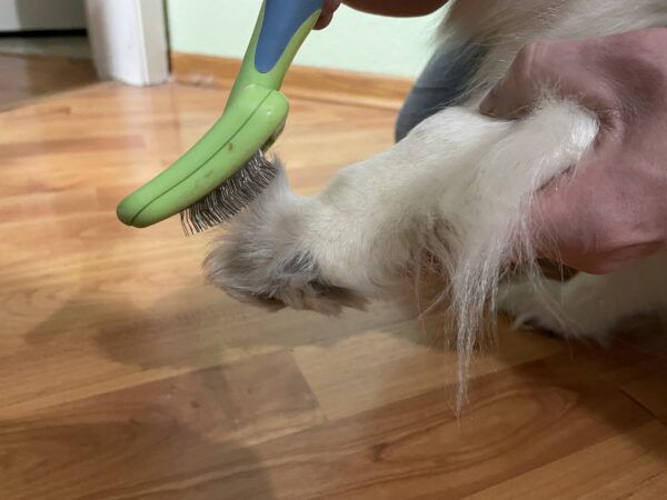 cepillo de pelo de pata de perro