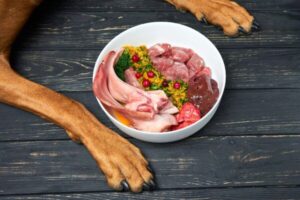 ¿Pueden los perros comer carne cruda?  – Perro